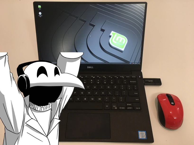 Linux Mint booté dans DELL par USB